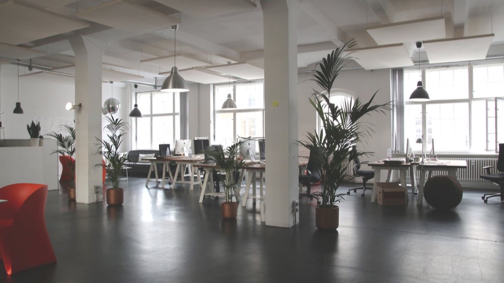 Modern workplace studio with desks and daylight